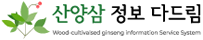 산양삼 정보 다드림